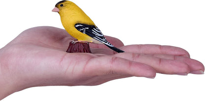 MOJO Bird Enthusiast Collection 1 - Handgeschilderde beeldjes, verzamelobjecten, speelgoed, gedetailleerde sculpturen met QR-code voor leuke weetjes (Amerikaanse goudvink)