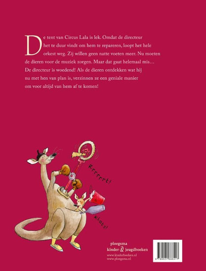 Het Luchtcircus - Prentenboek