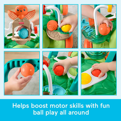 Fisher Price Moves With You Activity Walker
