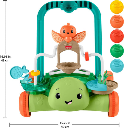 Fisher Price Moves With You Activity Walker