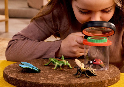 Schleich WILD LIFE | Set scoperta degli insetti 42741