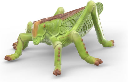 Schleich WILD LIFE | Set scoperta degli insetti 42741