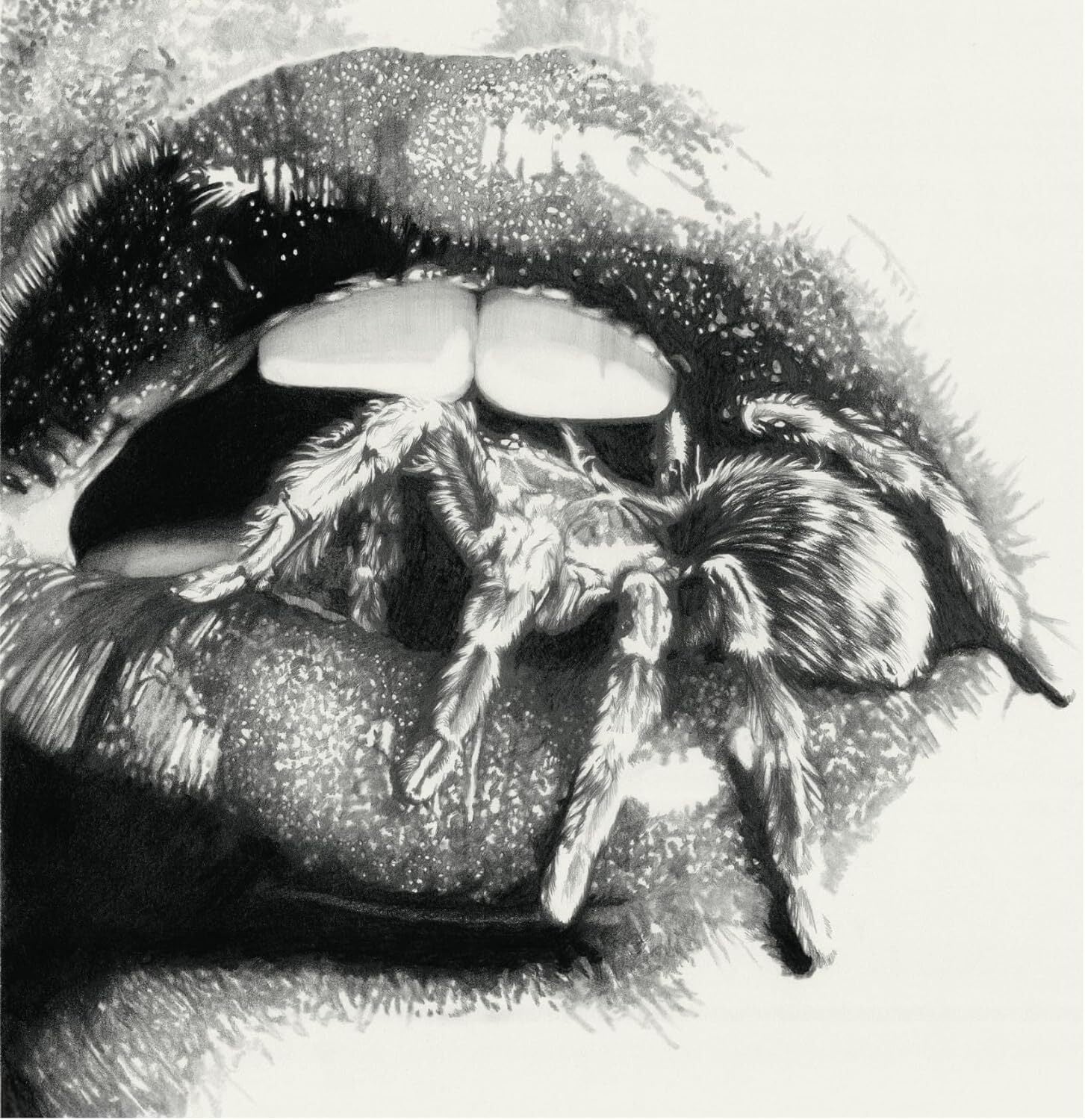 Let the spiders in