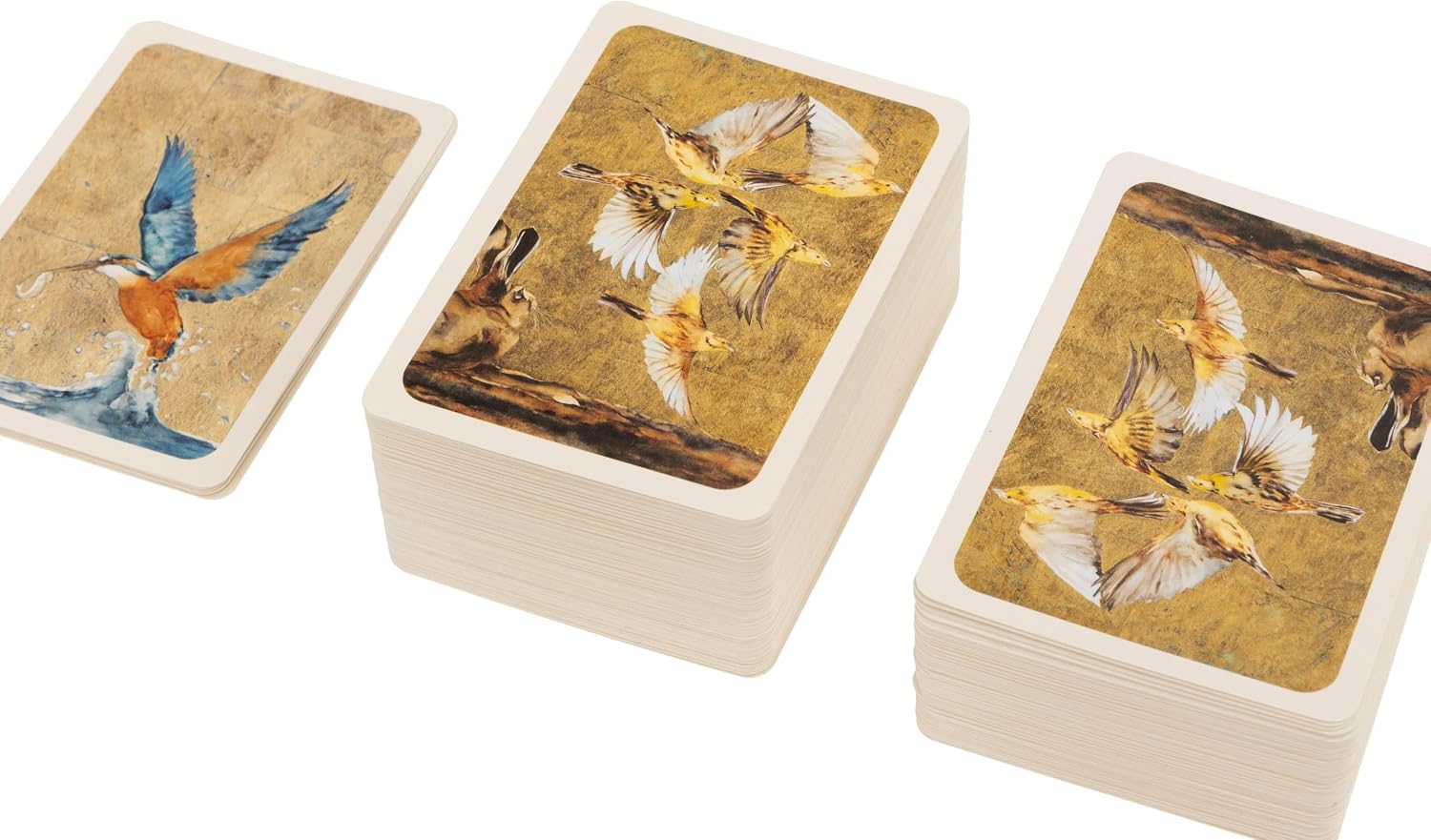 Game of Birds Strategy Card Game | Learn Bird Conservation Through Competitive Gameplay | 35 Unique Bird Cards | 1-4 Players Ages 8+