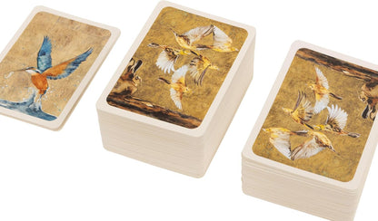 Game of Birds Strategy Card Game | Learn Bird Conservation Through Competitive Gameplay | 35 Unique Bird Cards | 1-4 Players Ages 8+