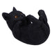 Nemesis Now Familiar Helper 12.5cm, Black, Cat Figure | Resin, Black Cat Ornament, Collectable Cat Giftware, Cast in the Finest Resin, Expertly Hand-Painted