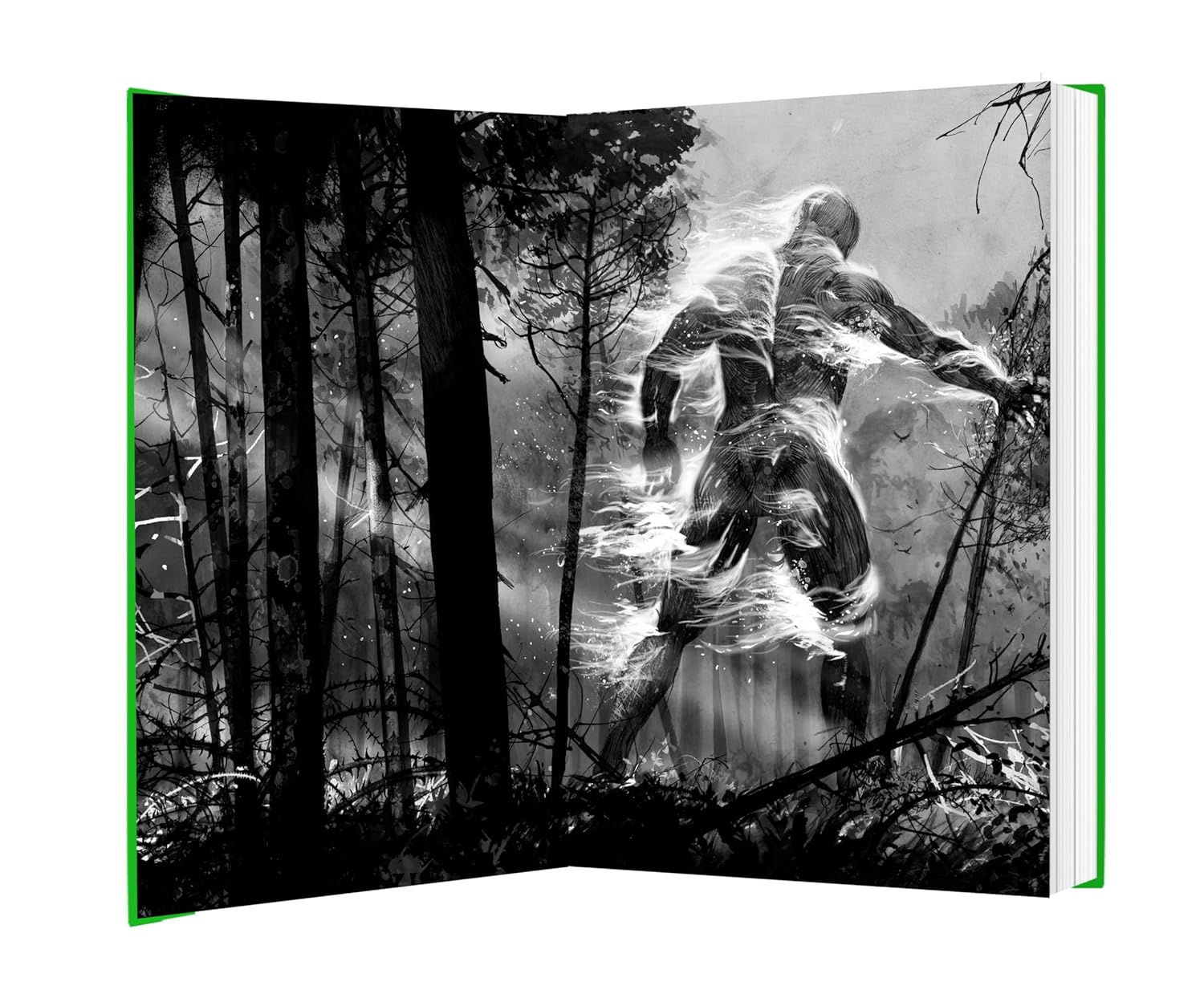Piper at the Gates of Dusk: A gripping dystopian tale of bravery and brotherhood for fans of THE HUNGER GAMES and PROJECT HAIL MARY from the author of A Monster Calls (The New World