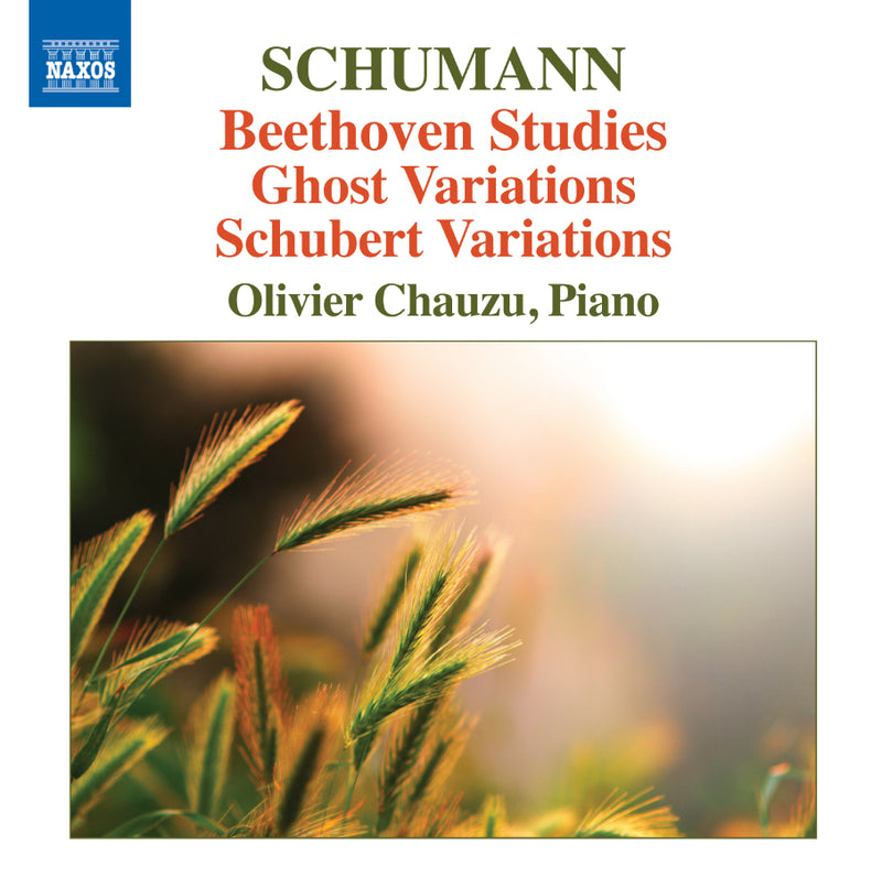 Schumann: Beethoven Studies/Ghost Variations/Schubert Variations