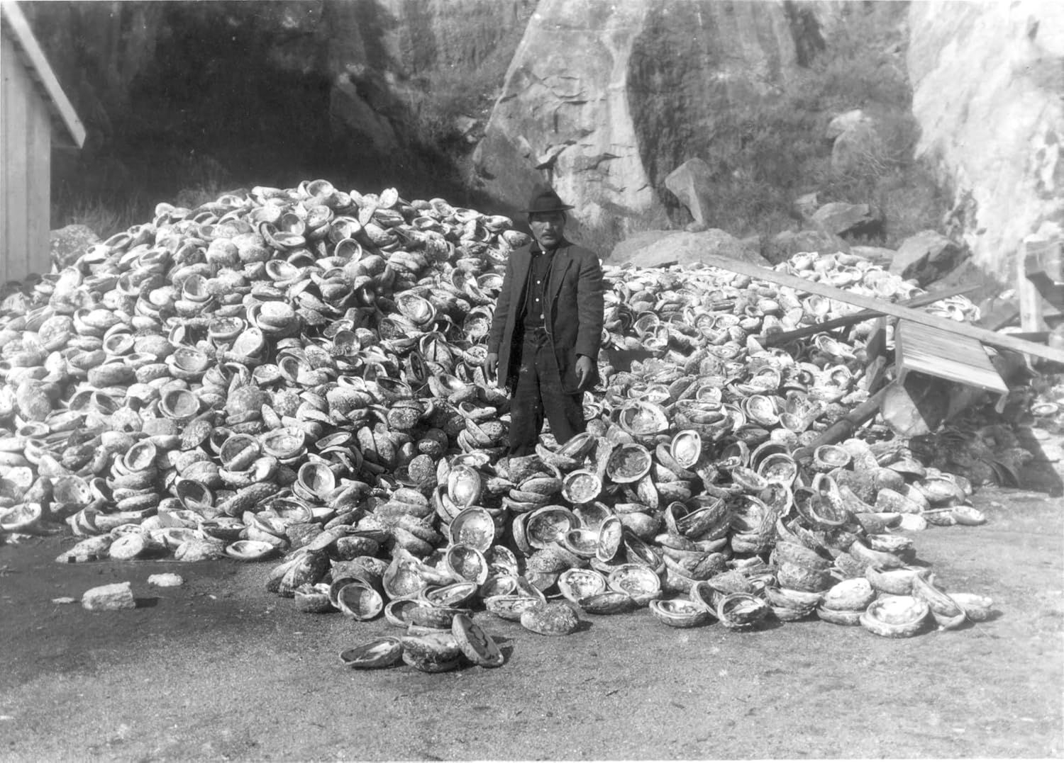 Tin Can Coast: A History of Industry, Greed, and Fishing in the Golden State