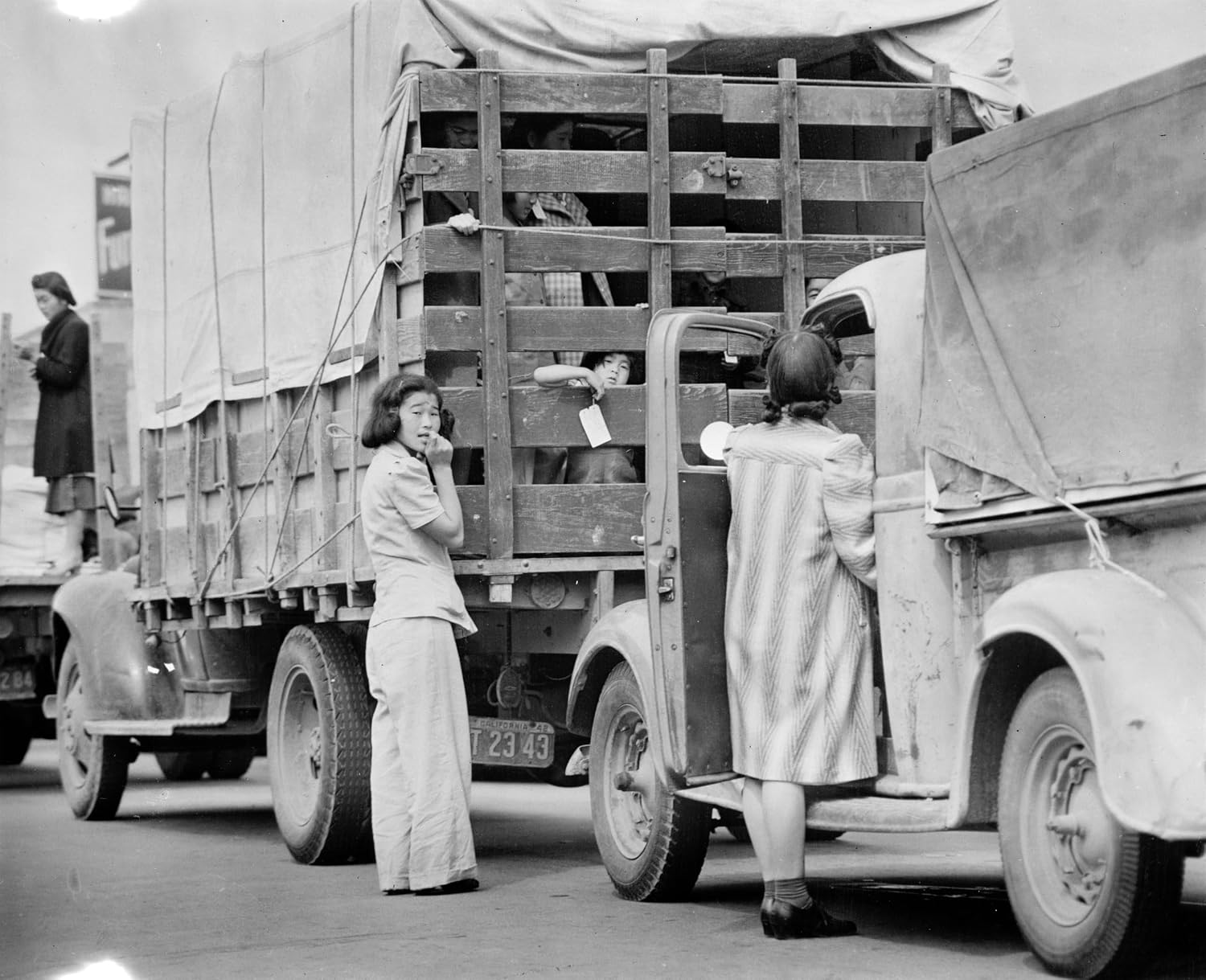 Tin Can Coast: A History of Industry, Greed, and Fishing in the Golden State