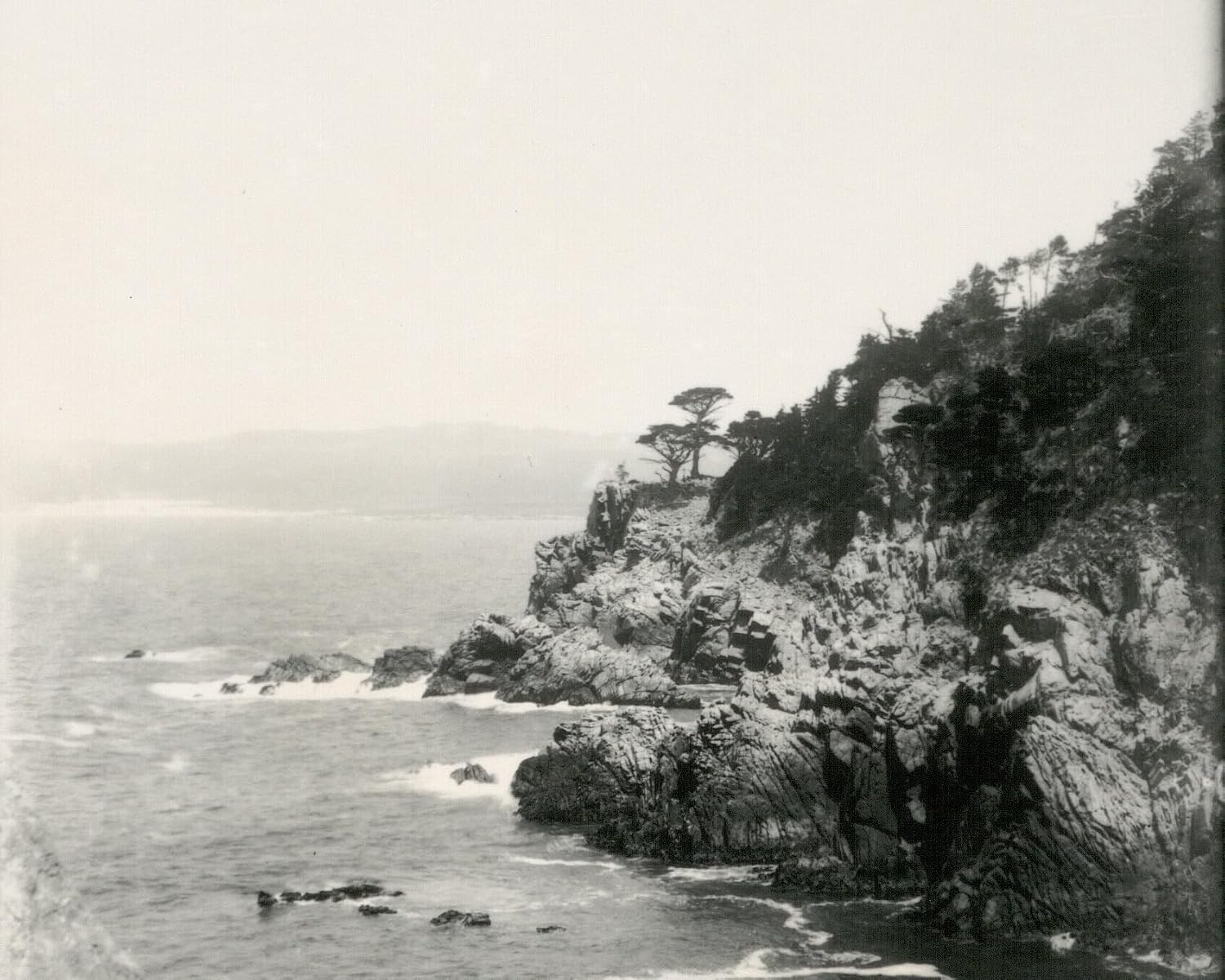 Tin Can Coast: A History of Industry, Greed, and Fishing in the Golden State