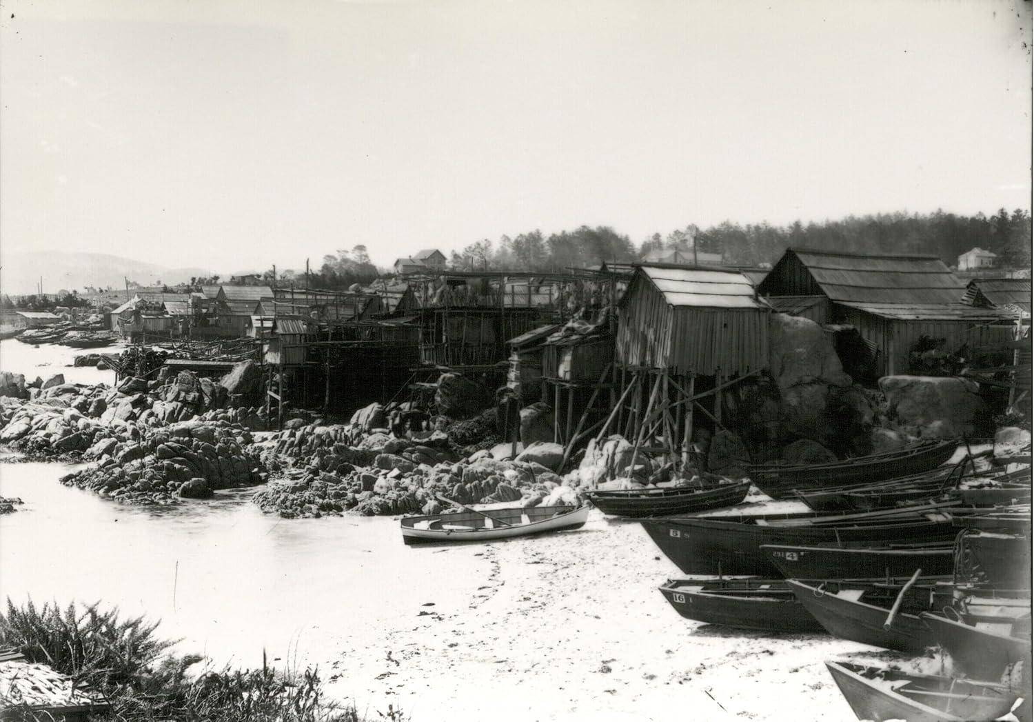 Tin Can Coast: A History of Industry, Greed, and Fishing in the Golden State