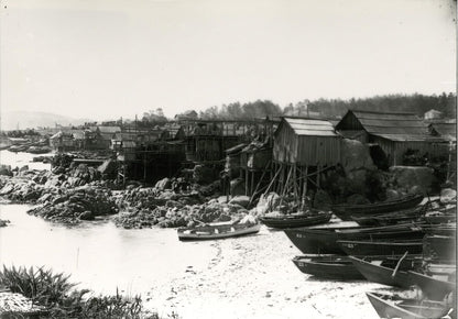 Tin Can Coast: A History of Industry, Greed, and Fishing in the Golden State
