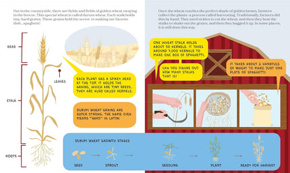 Spaghetti Science: The Chemistry, History and Art of Pasta