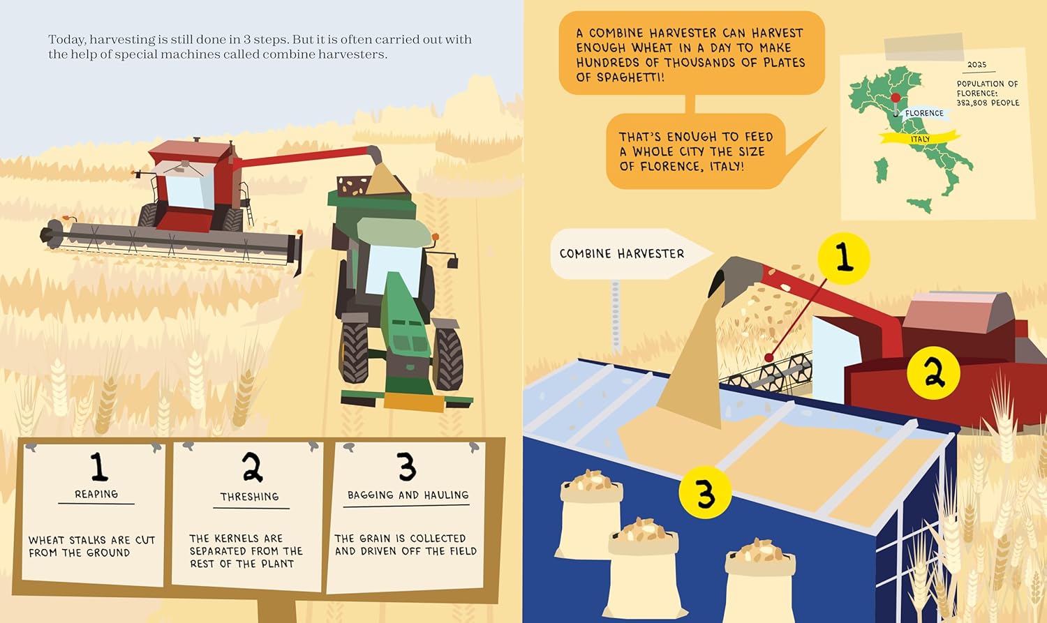 Spaghetti Science: The Chemistry, History and Art of Pasta