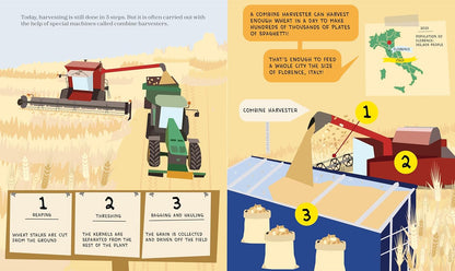 Spaghetti Science: The Chemistry, History and Art of Pasta