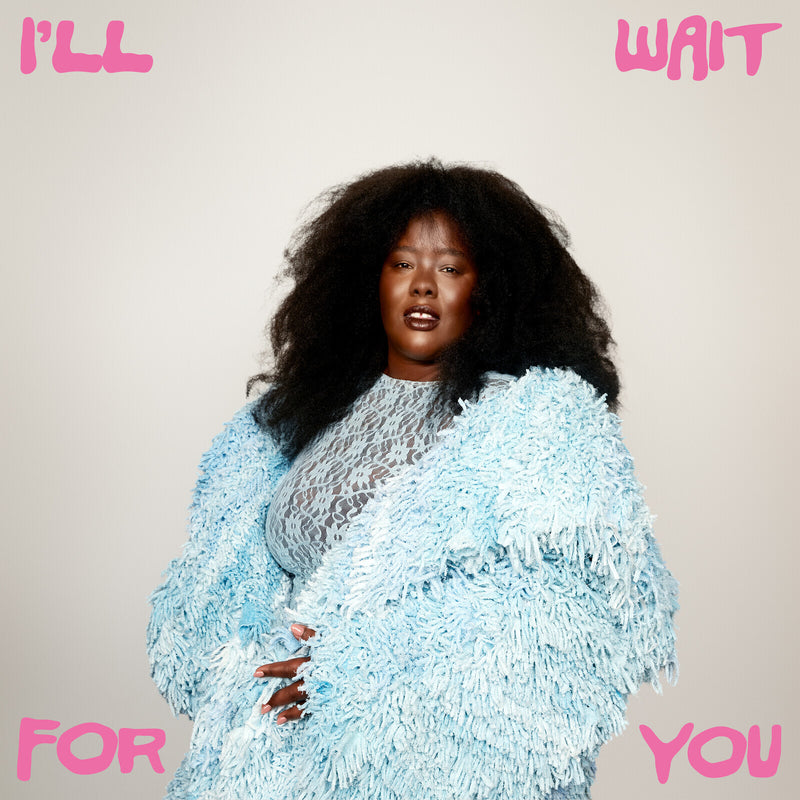 I'll Wait for You