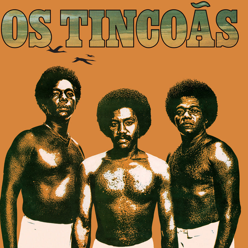 Os Tincoas