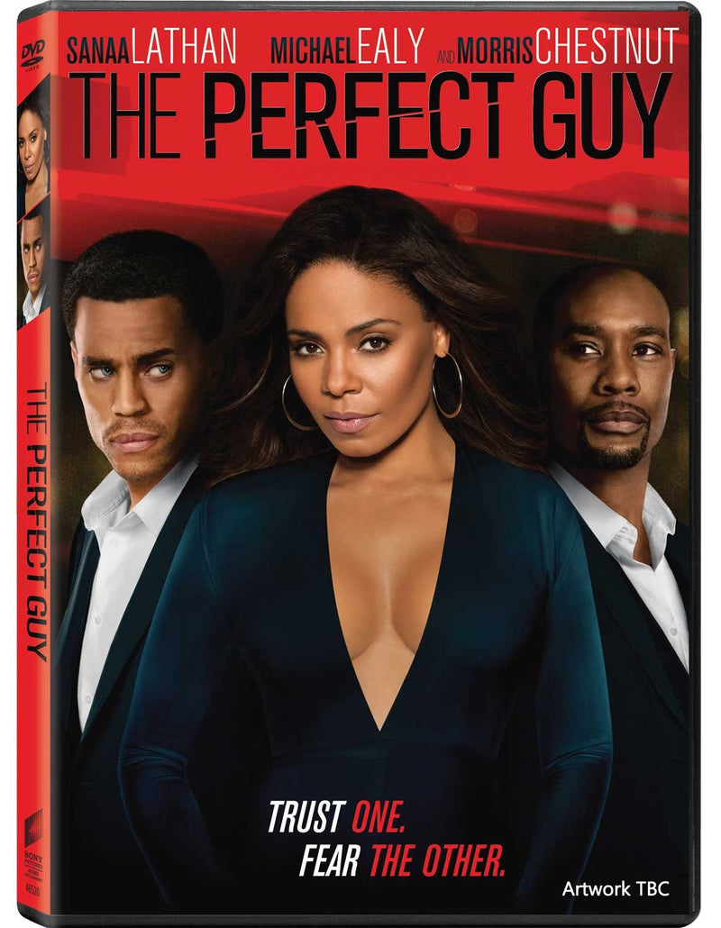 The Perfect Guy