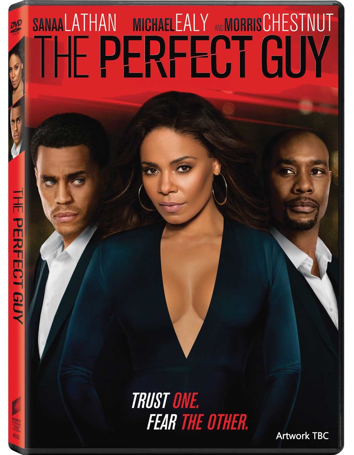 The Perfect Guy