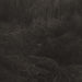 Transient