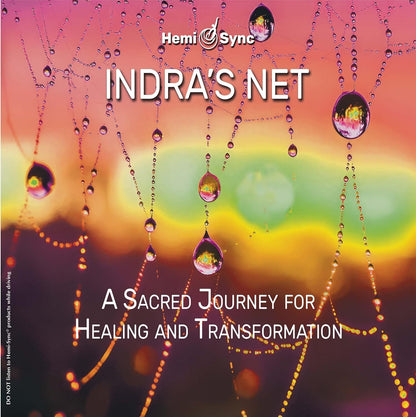 Indra's net