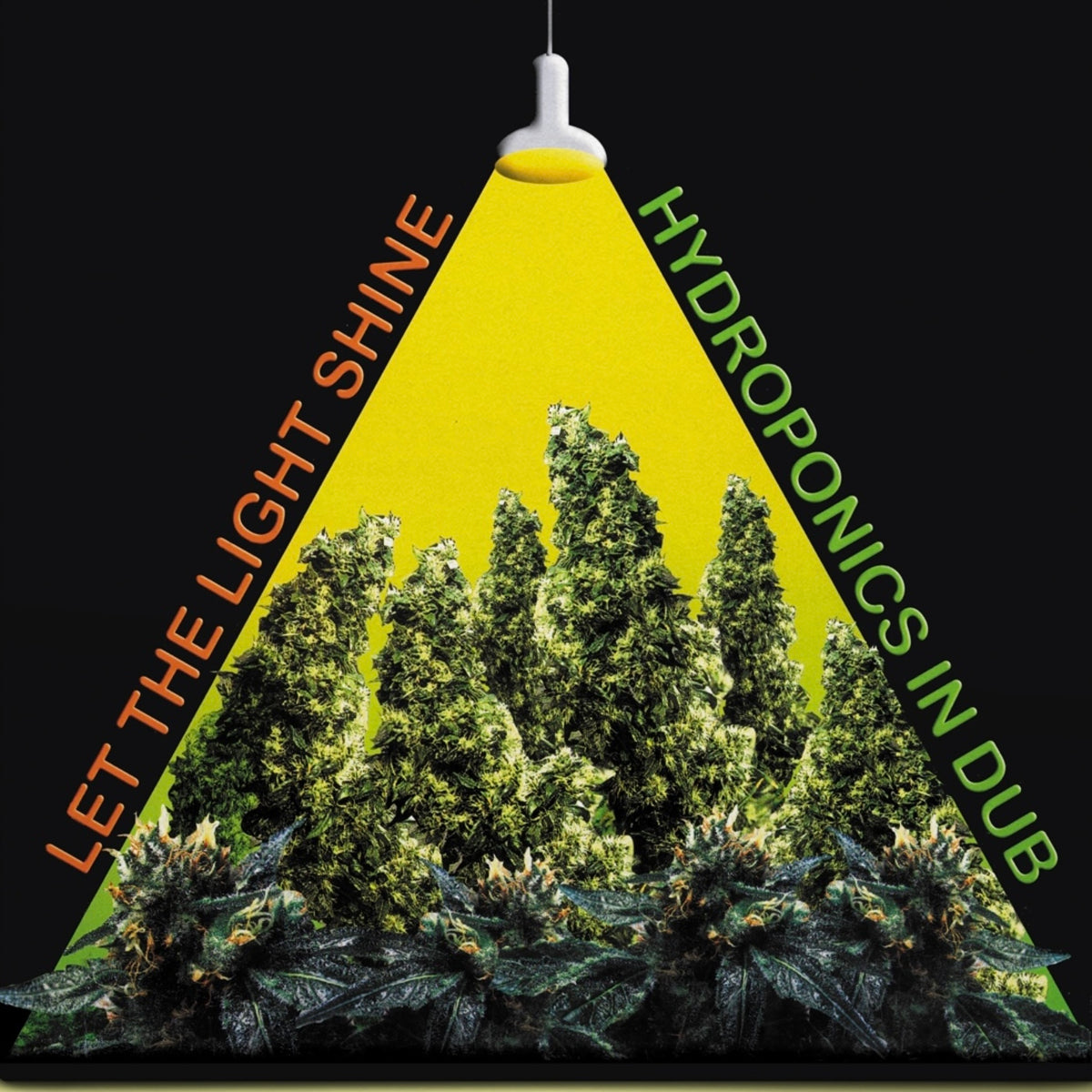 Let the Light Shine