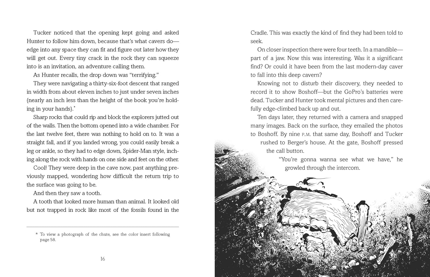 Reading the Bones: Homo Naledi and the Mysteries of Human Evolution