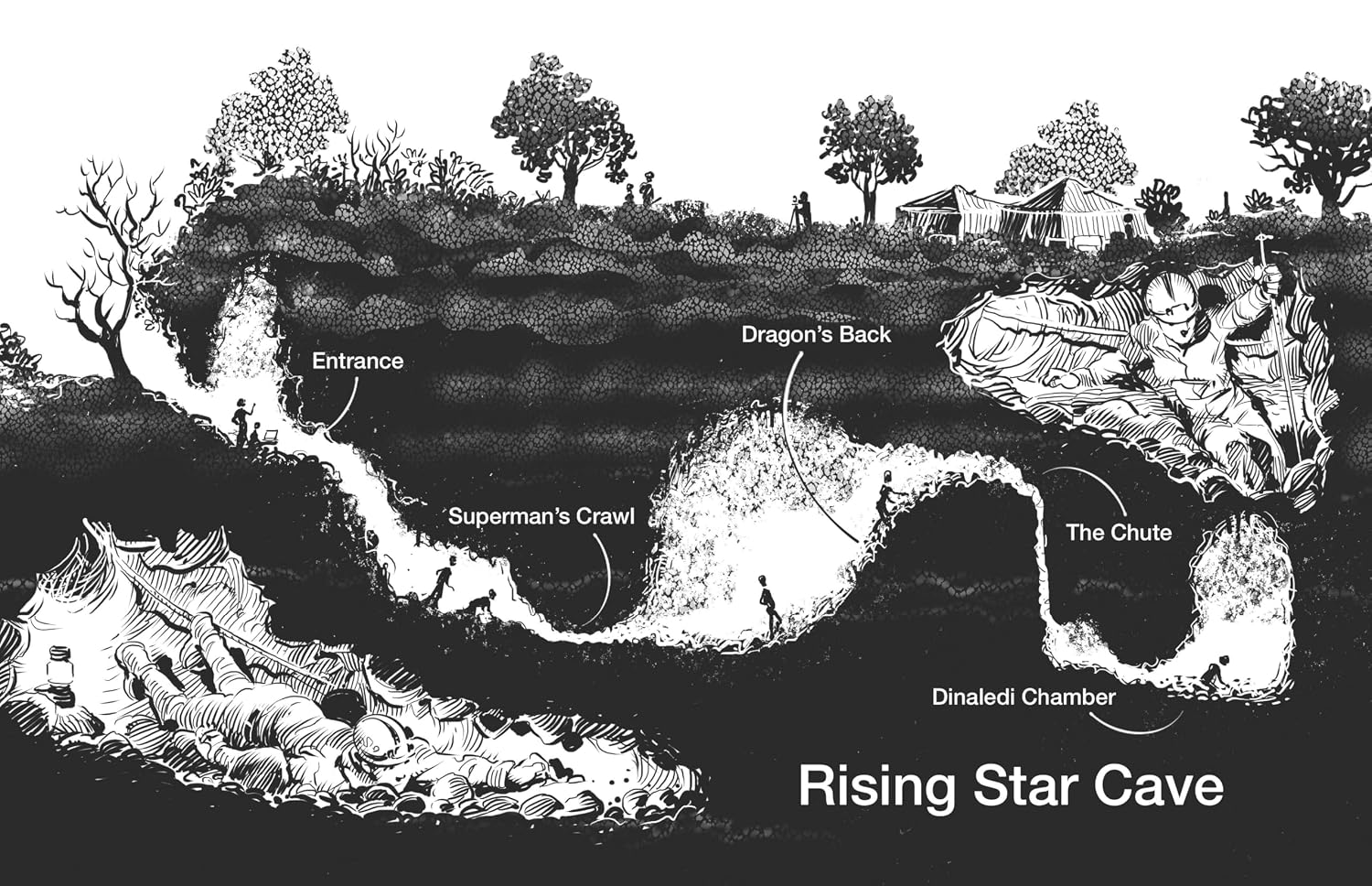 Reading the Bones: Homo Naledi and the Mysteries of Human Evolution