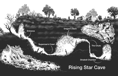 Reading the Bones: Homo Naledi and the Mysteries of Human Evolution