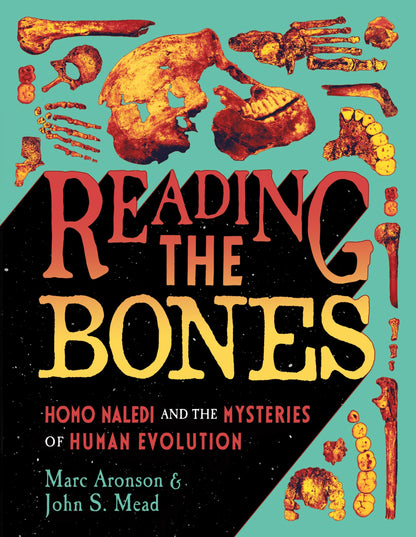 Reading the Bones: Homo Naledi and the Mysteries of Human Evolution