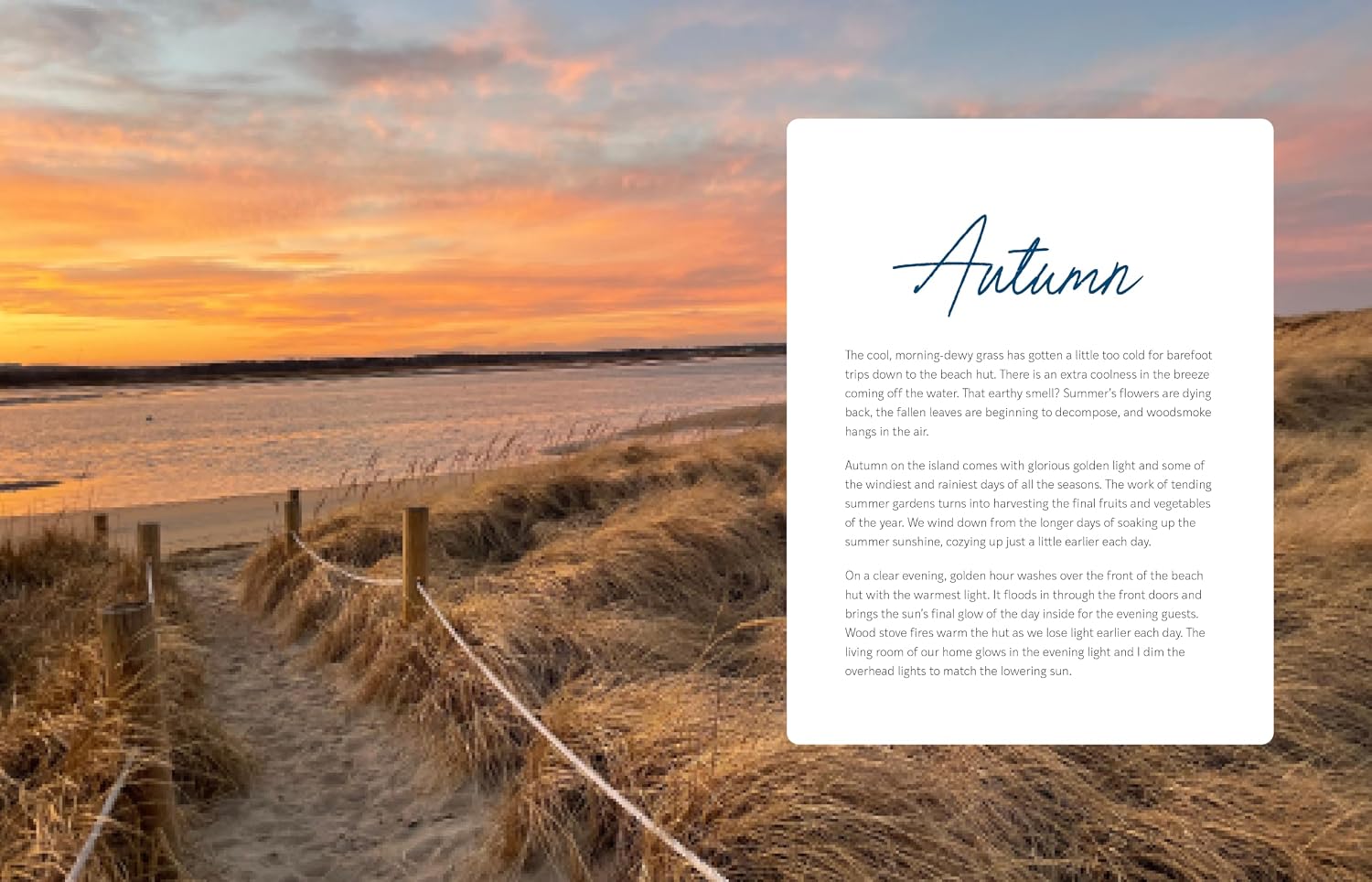 A Year by the Sea