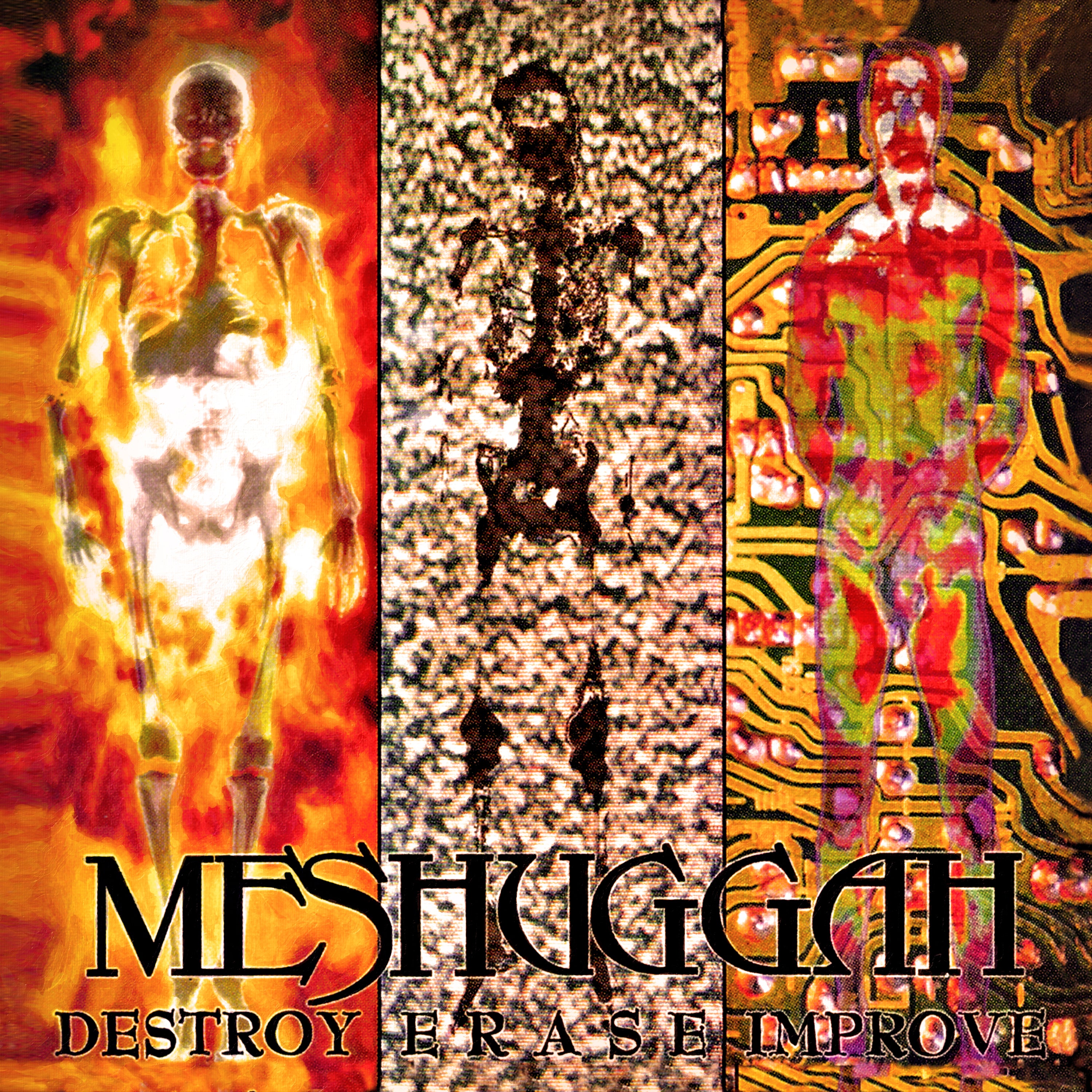 Destroy Erase Improve (30th Annviversary Edition)