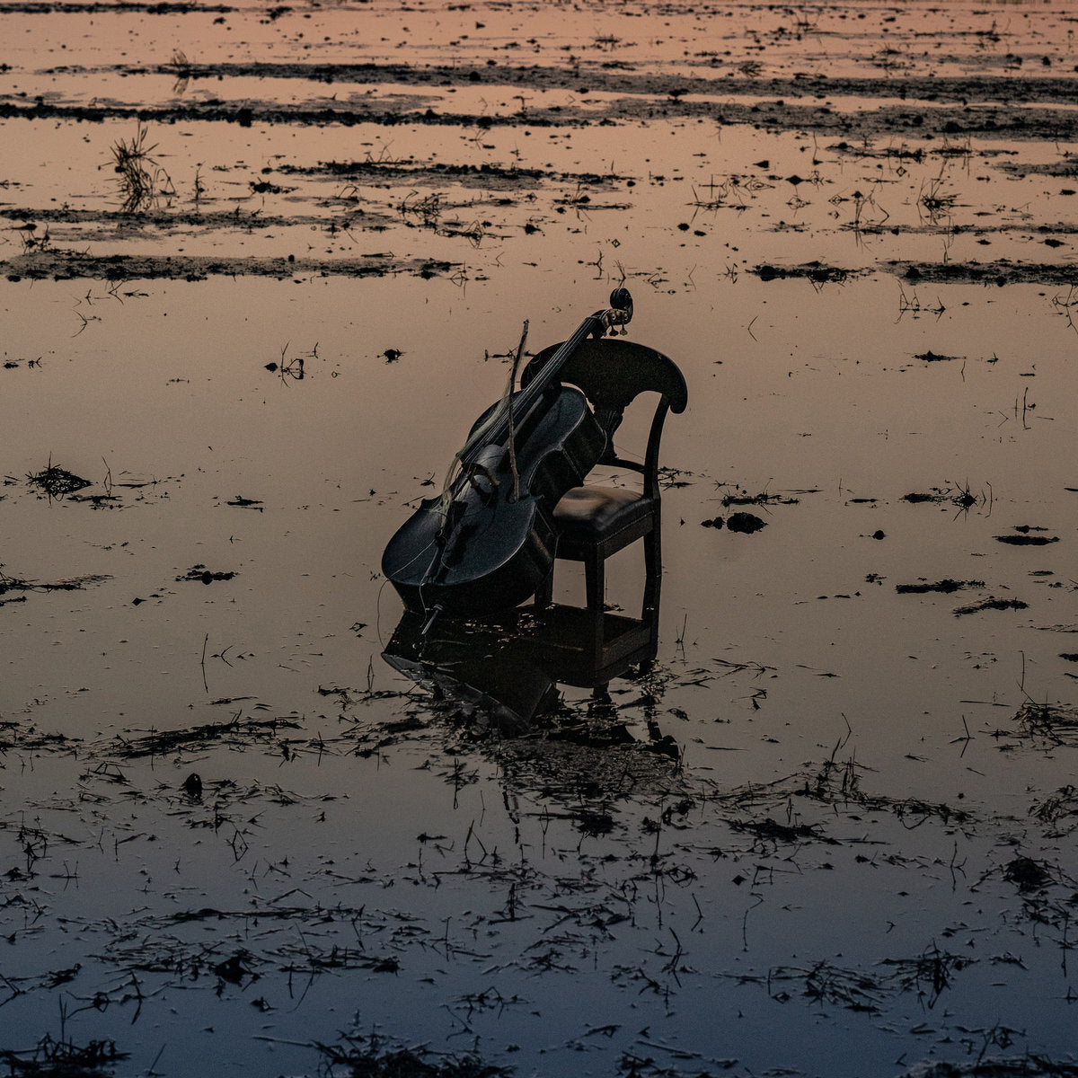 Yuki Nakagawa: Stills and Remains
