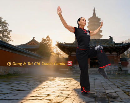 TAI CHI FLOW - MUSIC FOR WALKING MEDITAT