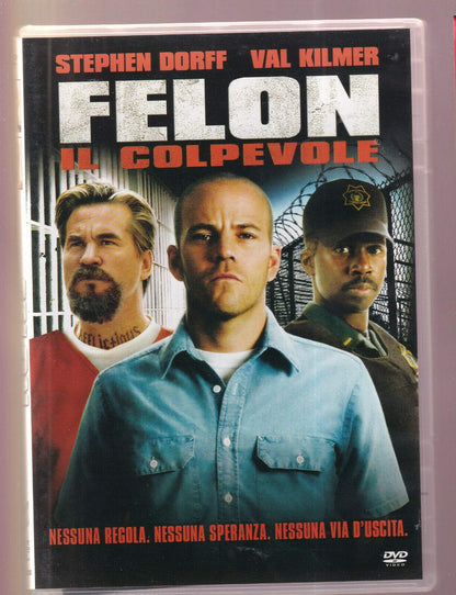 Felon - Il colpevole