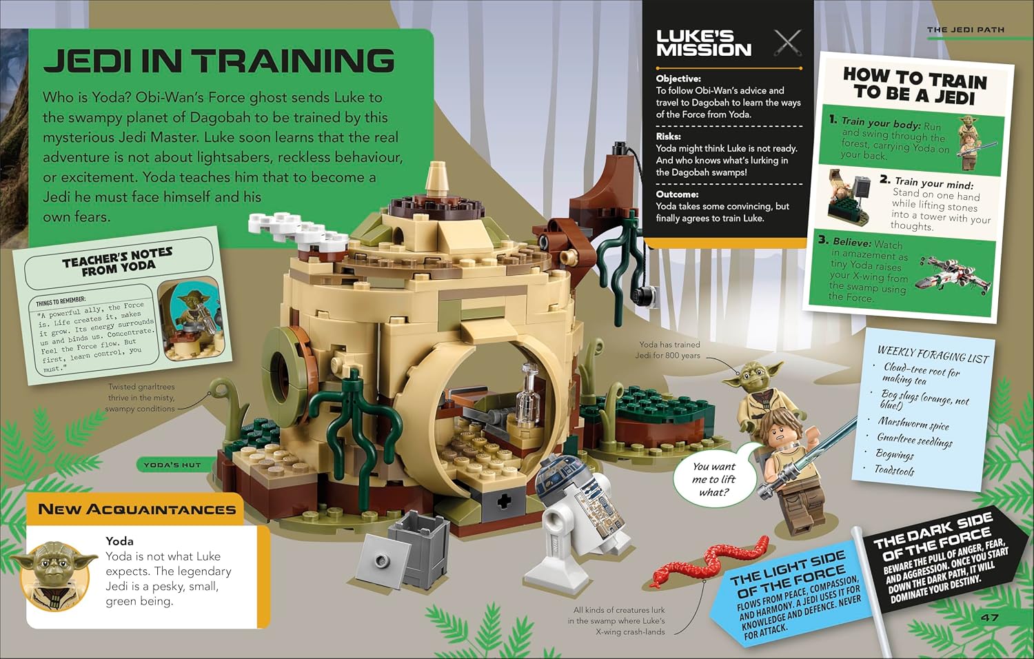 LEGO Star Wars Luke Skywalker's Galactic Adventures: Subtitle: With Luke Skywalker Minifigure