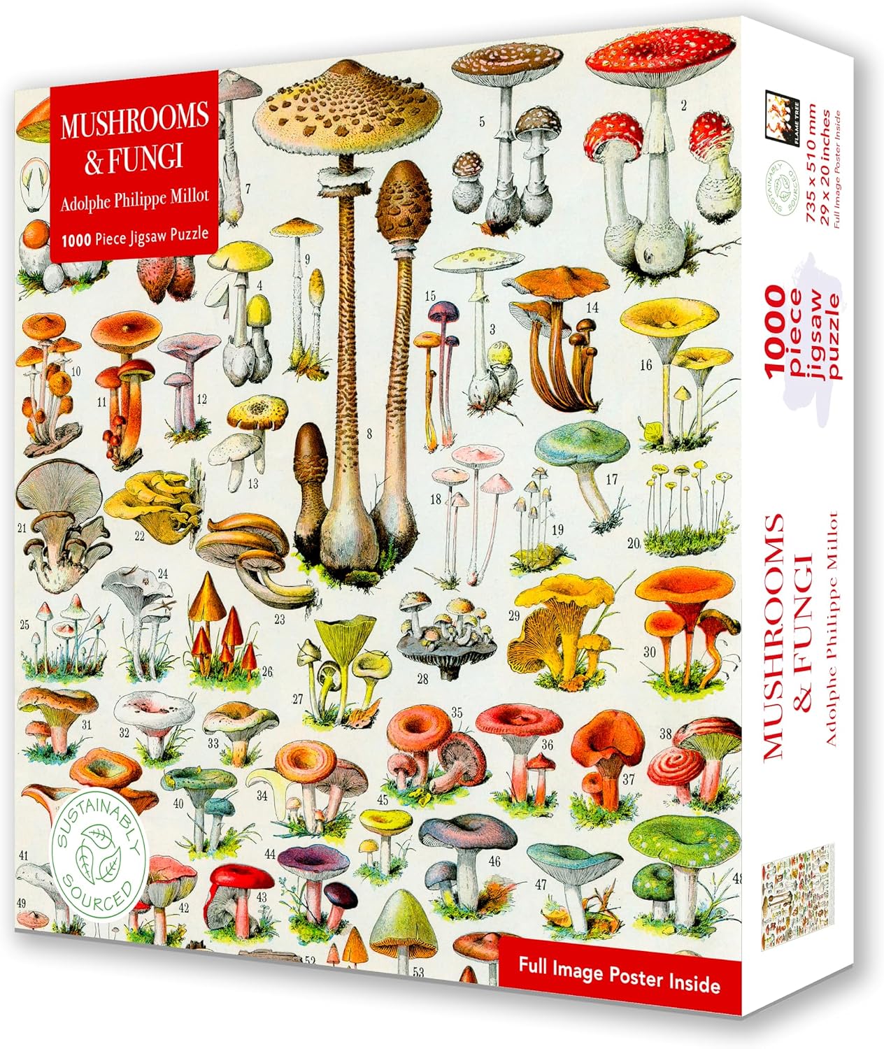 Adult Sustainable Jigsaw Puzzle Mushrooms & Fungi by Adolphe Philippe Millot: 1000-pieces. Ethical, Sustainable, Earth-friendly