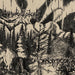 Panopticon & Waldgefluest