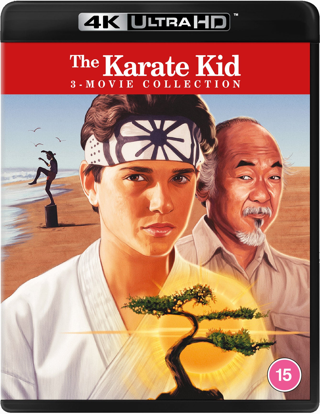 The Karate Kid: 3-movie Collection
