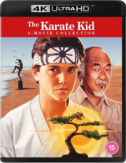 The Karate Kid: 3-movie Collection