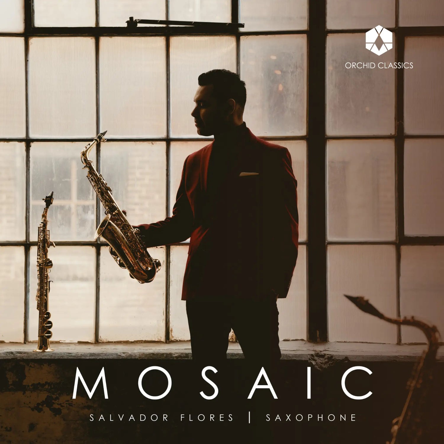 Salvador Flores: Mosaic