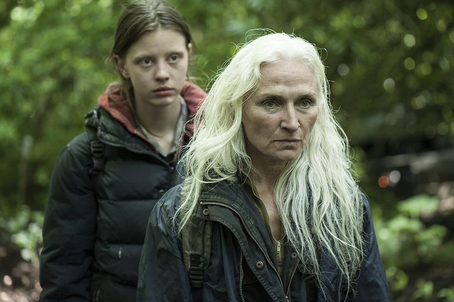 The Survivalist