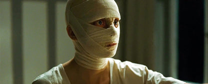 Phoenix (The Criterion Collection)