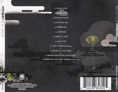 Sheryl Crow - Wildflower