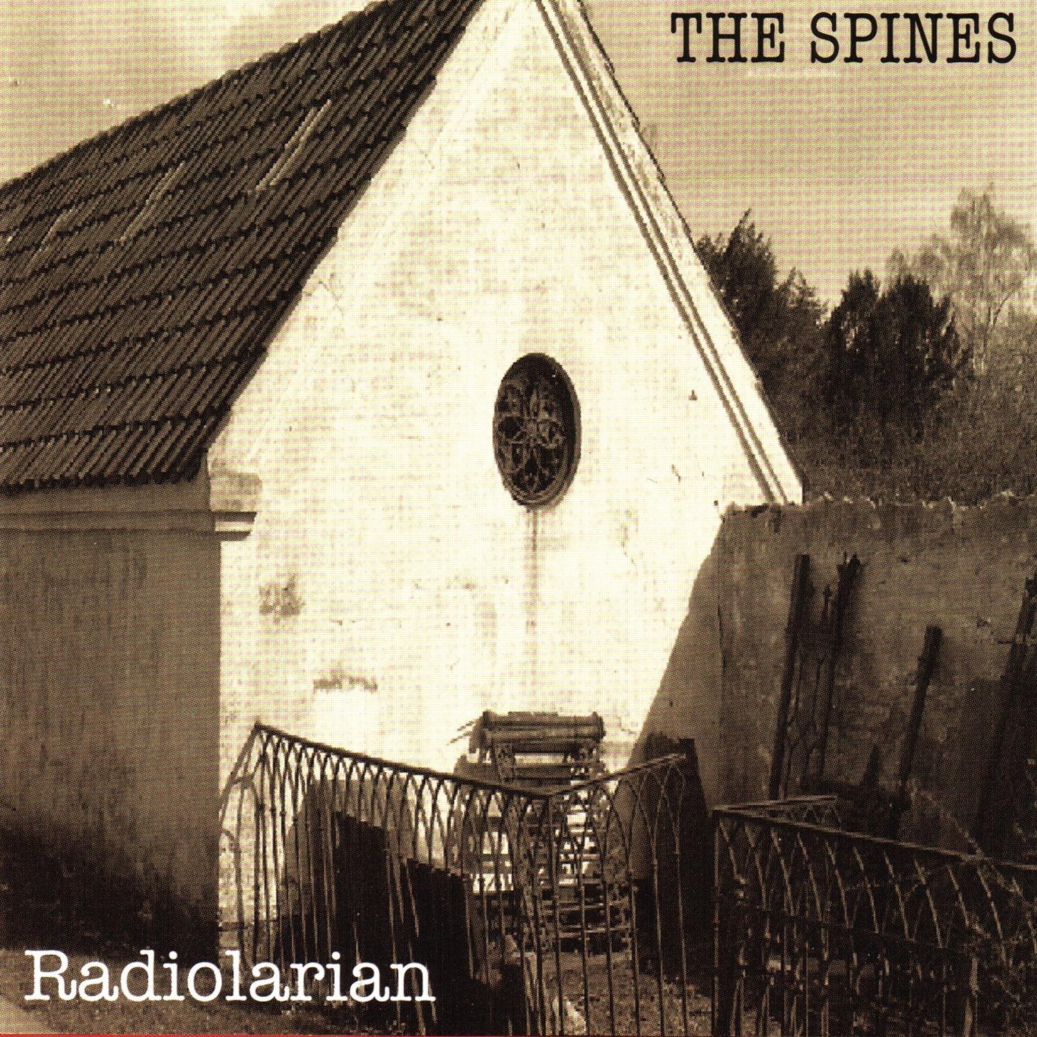 Radiolarian