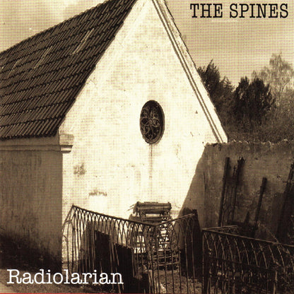 Radiolarian