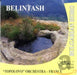 Belintash - Topolovo Orchestra