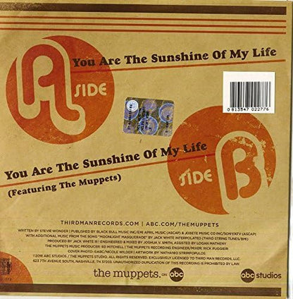 You Are The Sunshine Of My