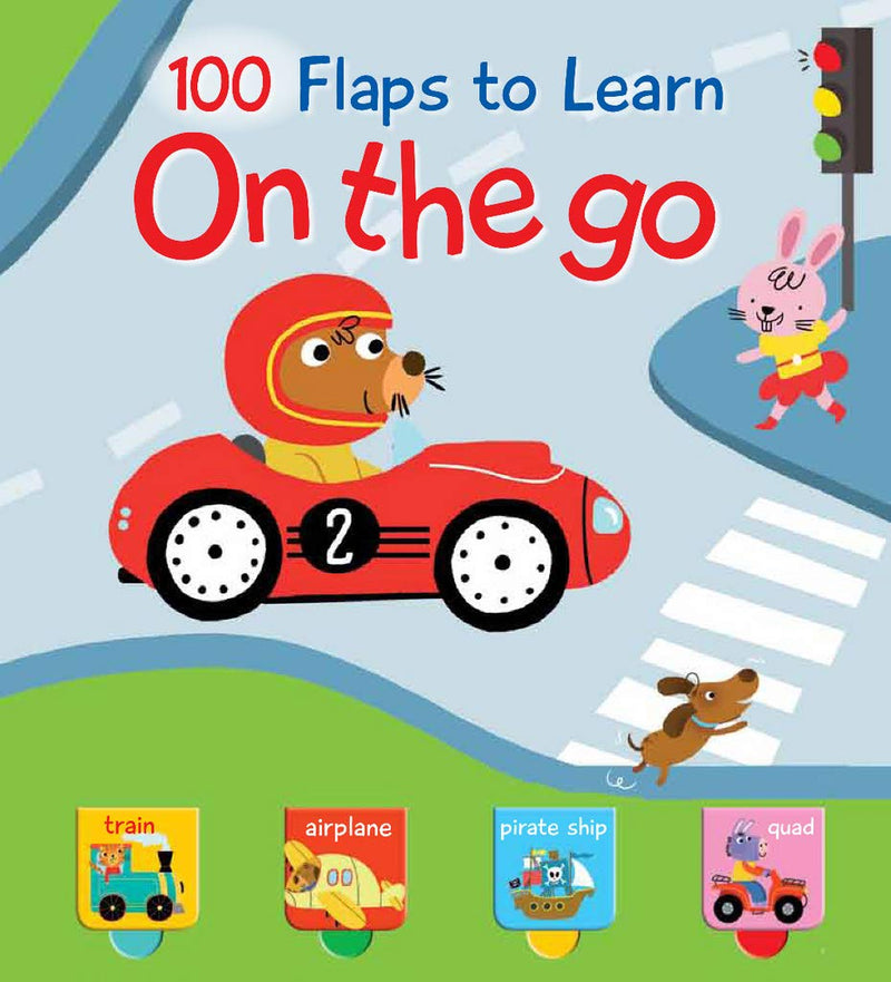100 Flaps to Learn On the go (2019